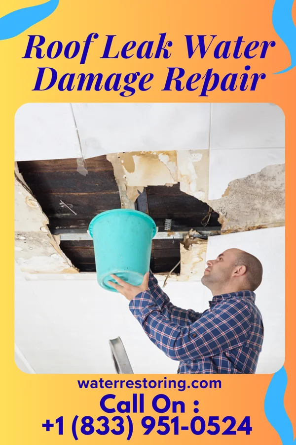 Roof Leak Water Damage Repair in Nash, ND